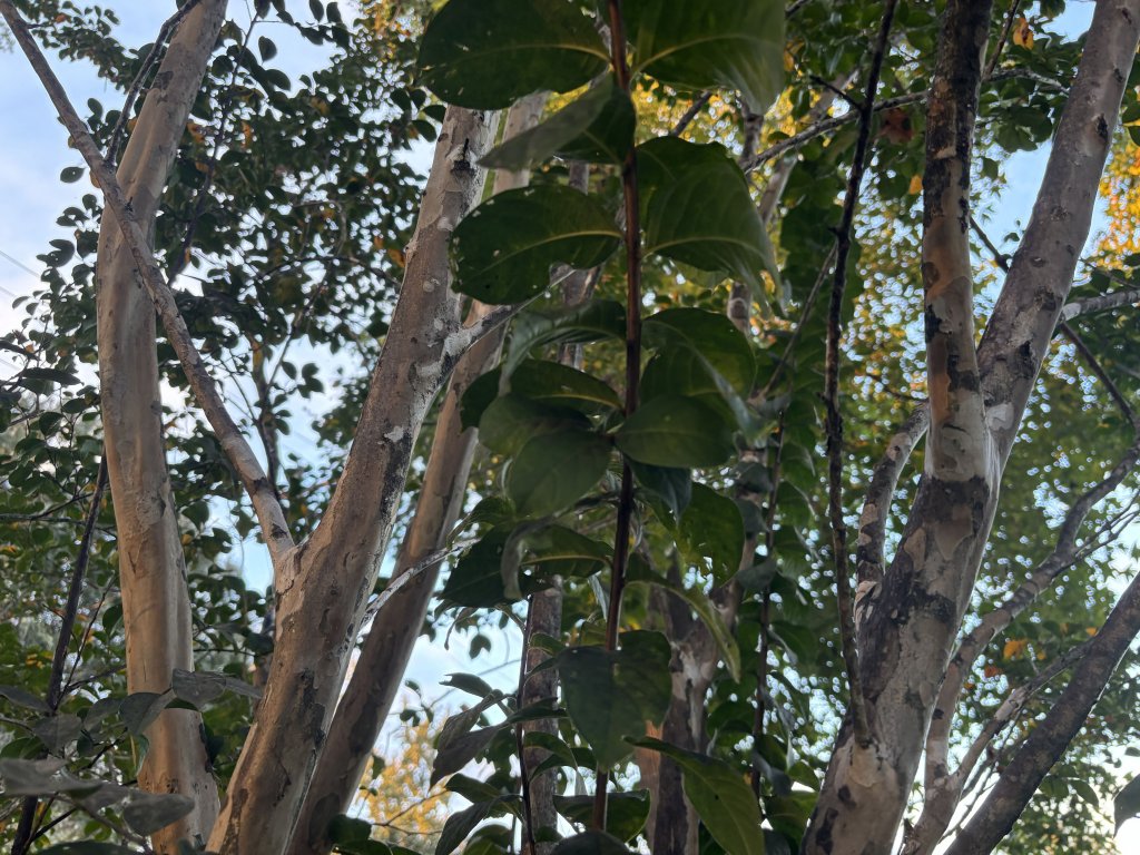 Don Hughes Park photo