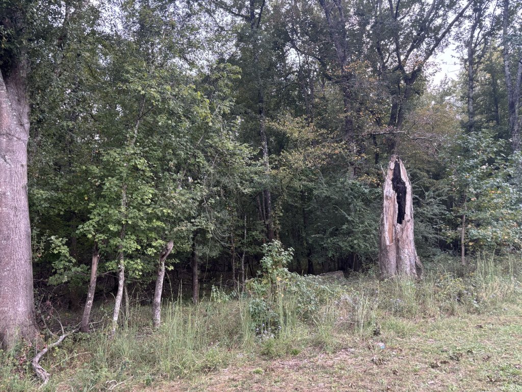 Don Hughes Park photo