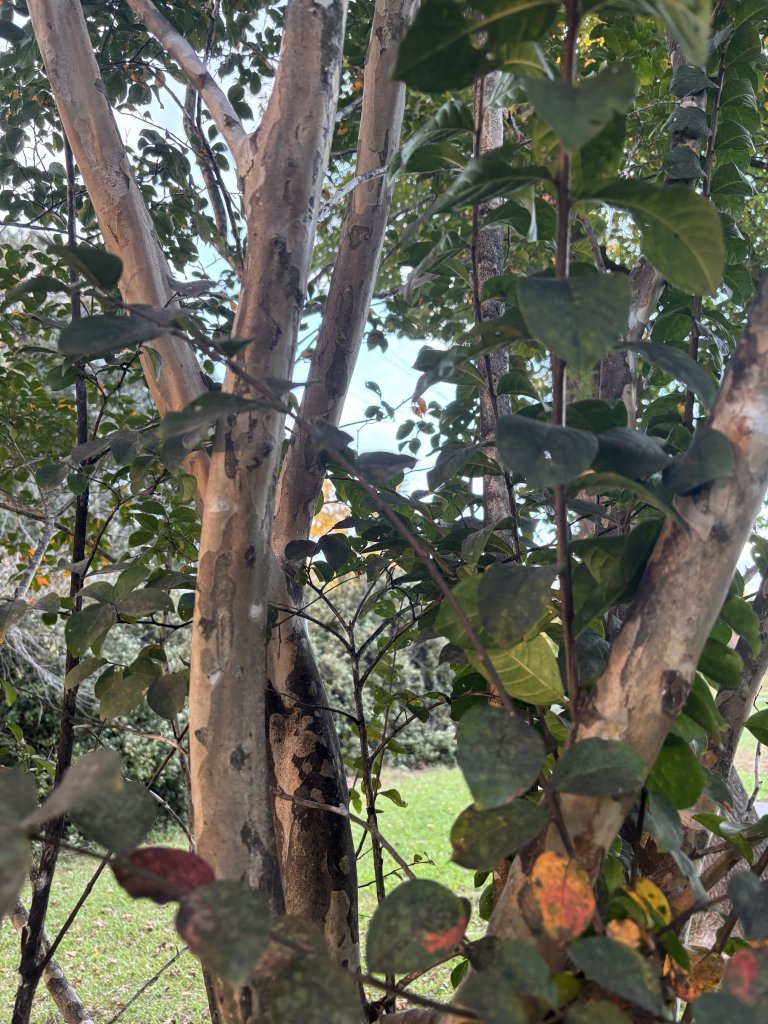 Don Hughes Park photo