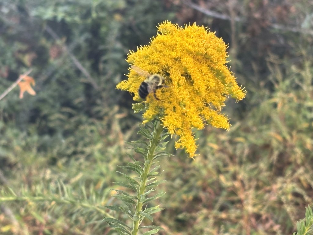 Don Hughes Park photo