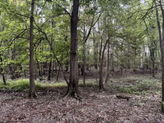 Don Hughes Park view