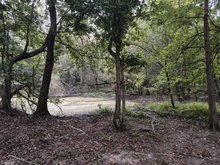 Don Hughes Park view