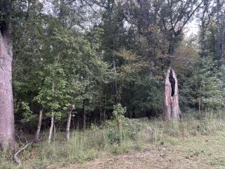 Don Hughes Park view