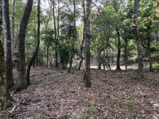 Don Hughes Park view