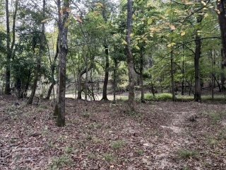 Don Hughes Park view