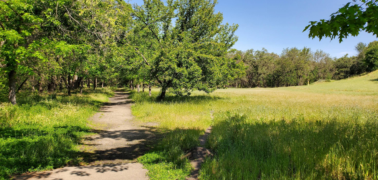 Sunset East Park photo
