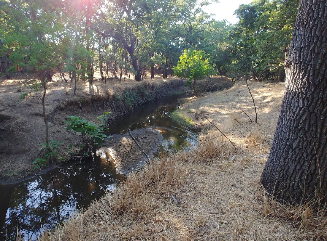 Sunset East Park photo
