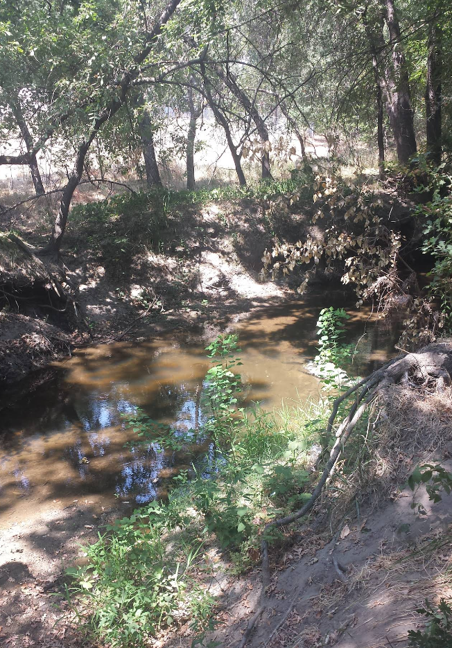 Sunset East Park photo