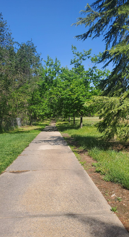 Sunset East Park view 10